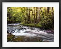 Framed Sunlight on Jake's Creek II