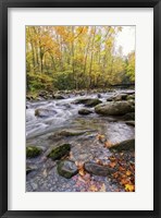 Roaring Waters III Framed Print