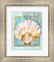 Framed 'Scallop Shell and Coral' border=