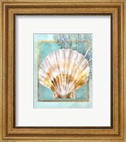 Framed 'Scallop Shell and Coral' border=