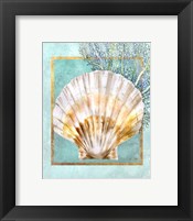 Scallop Shell and Coral Framed Print