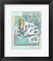 Framed Coral and Seahorse