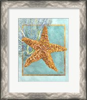 Framed 'Starfish and Coral' border=