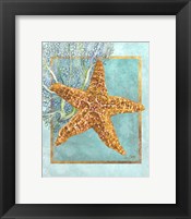 Framed 'Starfish and Coral' border=