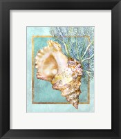 Conch Shell and Coral Framed Print