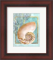 Framed 'Nautilus Shell and Coral' border=