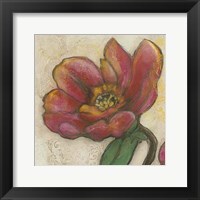 Tulip Poplar I Framed Print