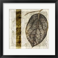 Framed Fall Leaves I