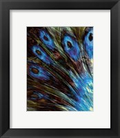 Framed Feather II