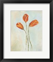 Painted Tulips II Framed Print