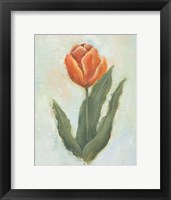 Painted Tulips IV Framed Print
