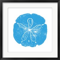 Blue Sand Dollar Framed Print