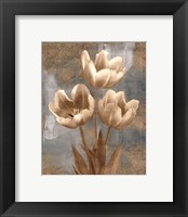 Framed Tulip II