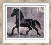 Framed Caballus III