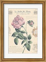 Framed Le Jardin des Fleurs IV