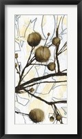 Framed Willow Blooms II