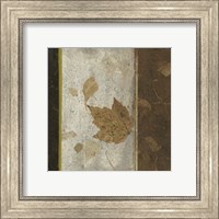 Framed Earthen Textures XVI