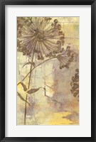 Framed Dandelion Dance I