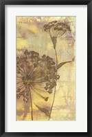 Dandelion Dance II Framed Print