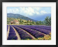 Framed Fields Of Lavender