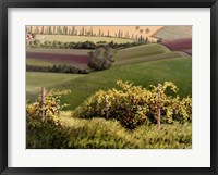 Framed Chianti Hills