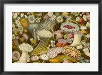 Framed Sea Anemone Panorama