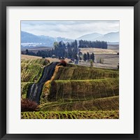 Framed Palouse Hills