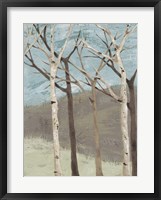 Blue Birches II Framed Print