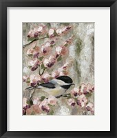 Framed Cherry Blossom Bird I
