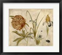 Framed Flowers and Beetles