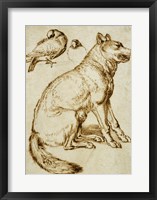 Framed Wolf and Two Doves