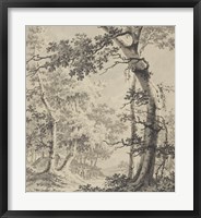 Framed Wooded Landscape