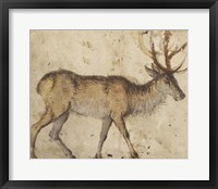 Framed Study of a Stag