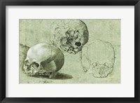 Framed Study of Three Skulls