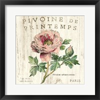 Framed Pivoine de Printemps