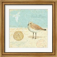 Framed 'Natural Seashore II' border=