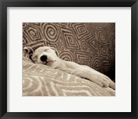 Framed Dog Tired