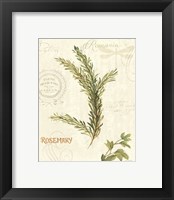 Framed 'Aromatique II' border=