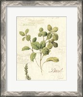 Framed 'Aromatique III' border=