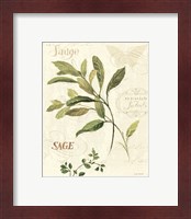 Framed 'Aromatique IV' border=