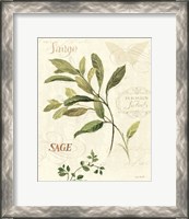 Framed 'Aromatique IV' border=