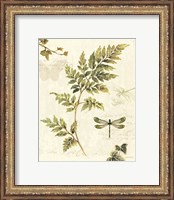 Framed 'Ivies and Ferns III' border=