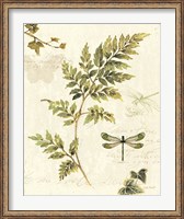 Framed Ivies and Ferns III