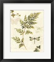 Ivies and Ferns III Framed Print
