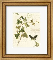 Framed 'Ivies and Ferns IV' border=