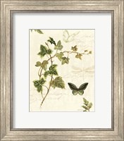 Framed 'Ivies and Ferns IV' border=