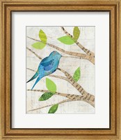 Framed 'Birds in Spring I' border=