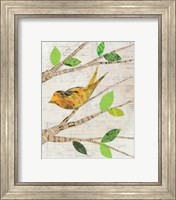 Framed 'Birds in Spring II' border=