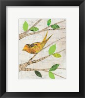 Framed 'Birds in Spring II' border=