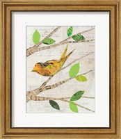 Framed 'Birds in Spring II' border=